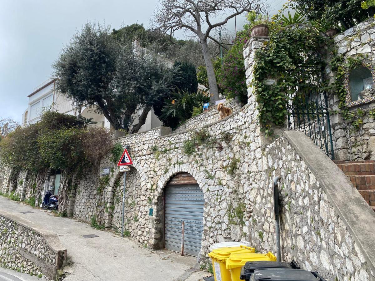Appartamento Regina di Capri - Grotta delle Felci - Esterno foto